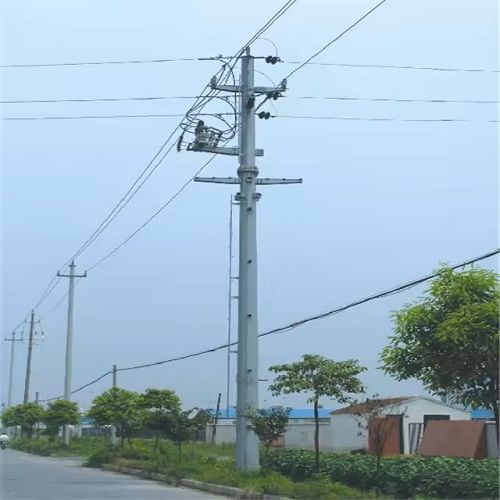 product-500-500